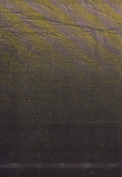 Harvest of Sorrow: Soviet Collectivization and the Holodomor / Жнива скорботи: Радянська колективізація і голодомор Роберт Конквест 978-611-01-1283-3-2