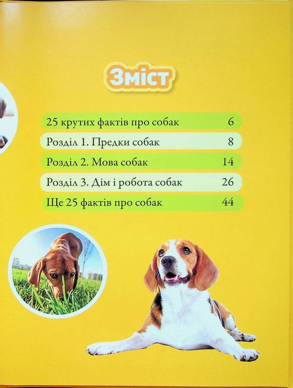 Haw! 100 Interesting Facts About Dogs / Гав! 100 цікавих фактів про собак Elizabeth Karny / Елізабет Карні 9786171600447-3