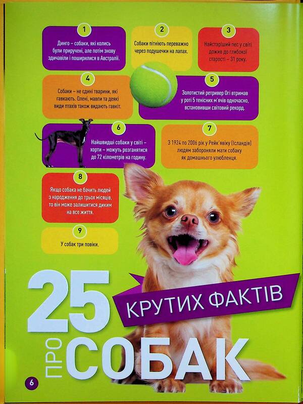 Haw! 100 Interesting Facts About Dogs / Гав! 100 цікавих фактів про собак Elizabeth Karny / Елізабет Карні 9786171600447-4