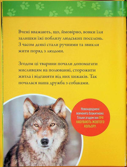 Haw! 100 Interesting Facts About Dogs / Гав! 100 цікавих фактів про собак Elizabeth Karny / Елізабет Карні 9786171600447-6