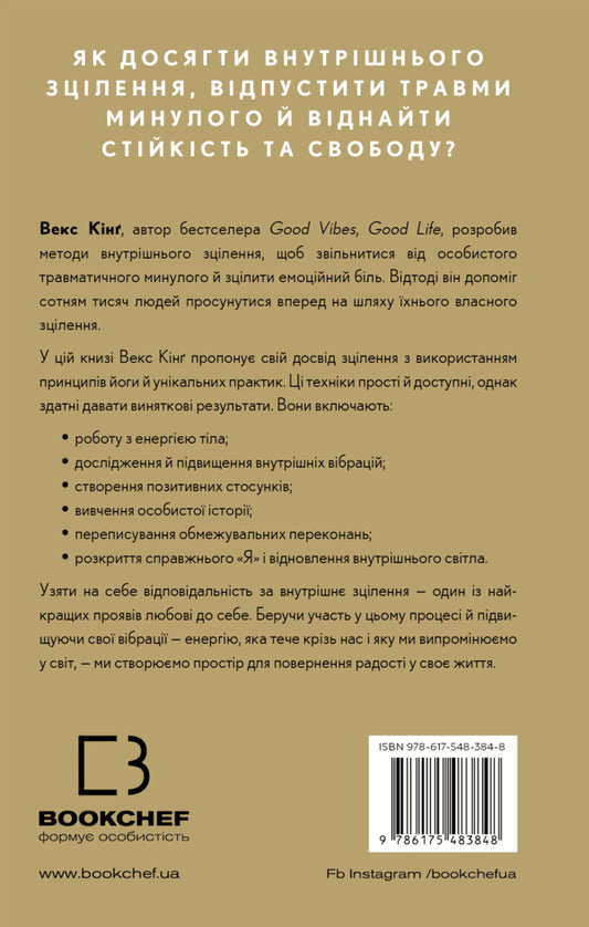 Healing is the New High. A manual to overcome emotional upheaval and gain freedom / Healing Is the New High. Посібник із подолання емоційних потрясінь і здобуття свободи Векс Кинг 978-617-548-384-8-2