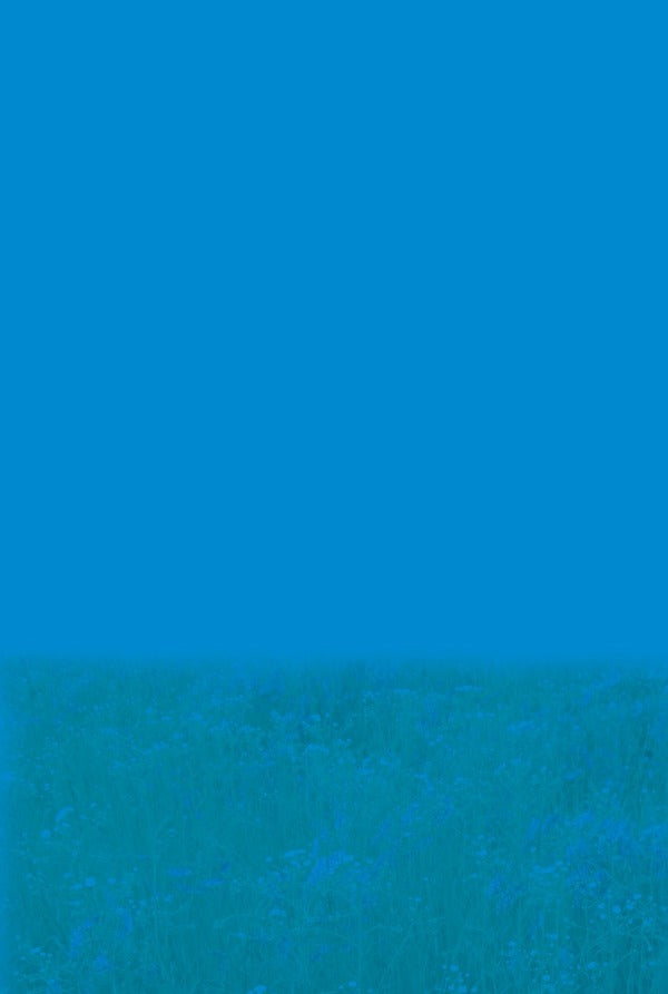 Health, safety and welfare. 5th grade Notebook for monitoring educational achievements / Здоров'я, безпека та добробут. 5 клас. Зошит для моніторингу навчальних досягнень Наталья Полищук 978-966-3499-34-5-2