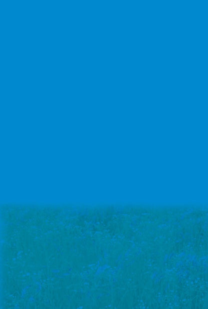 Health, safety and welfare. 5th grade Notebook for monitoring educational achievements / Здоров'я, безпека та добробут. 5 клас. Зошит для моніторингу навчальних досягнень Наталья Полищук 978-966-3499-34-5-2