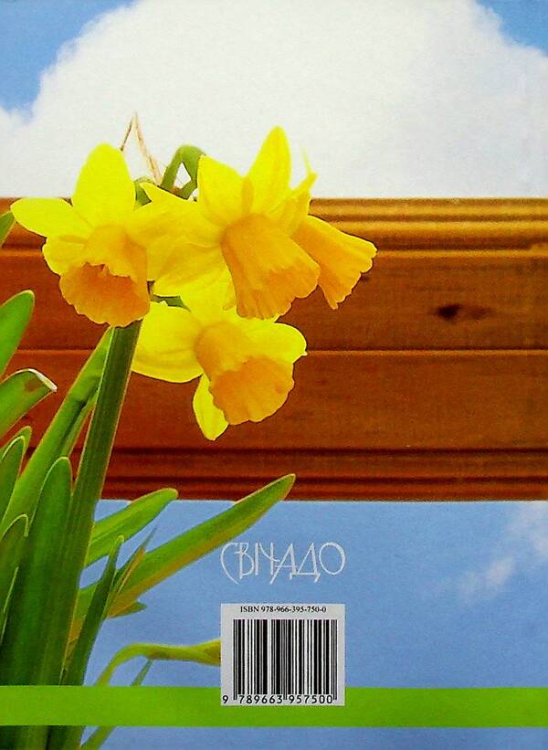 Heaven is in our house / Небо у нашому домі Бруно Ферреро 9789663957500-2