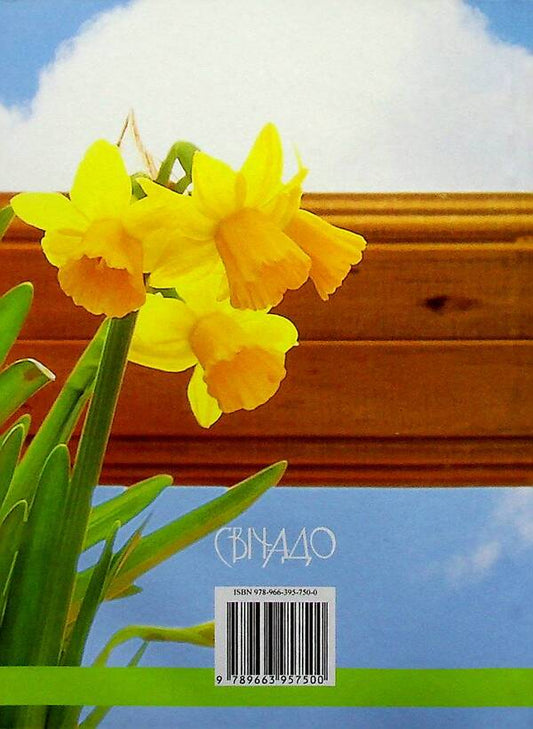 Heaven is in our house / Небо у нашому домі Бруно Ферреро 9789663957500-2