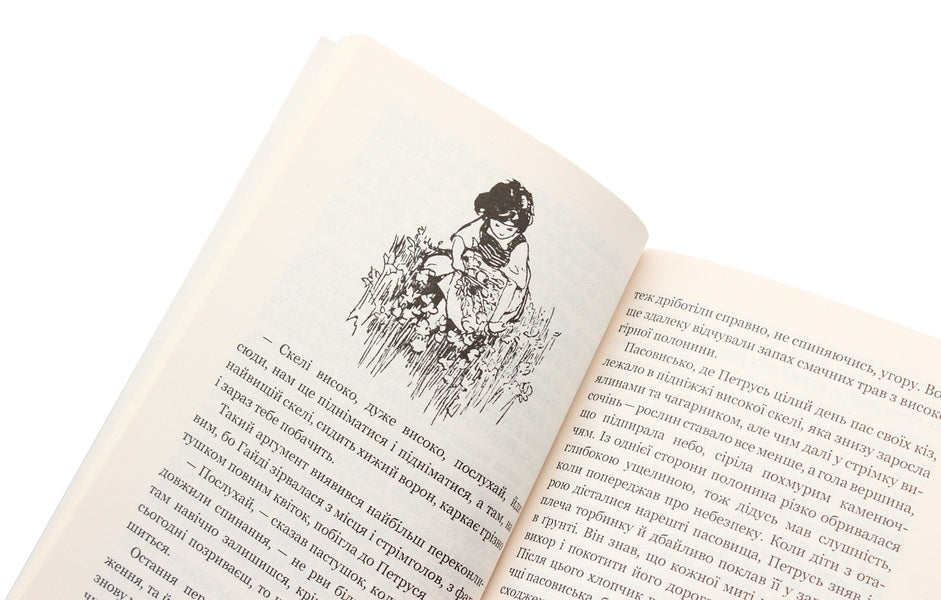 Heidi / Гайді Иоганна Шпири 978-966-10-1072-6, 978-966-10-3625-3-5