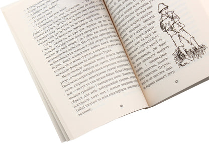 Heidi / Гайді Иоганна Шпири 978-966-10-1072-6, 978-966-10-3625-3-6