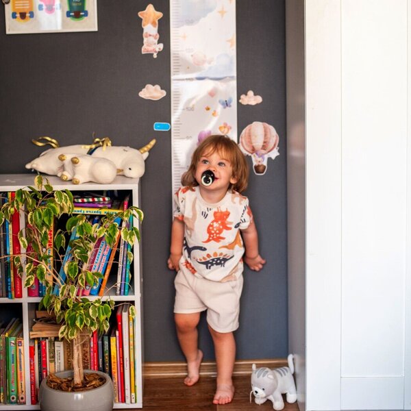 Height Meter And Interior Stickers. For Girls / Зростомір та інтер'єрні наліпки. Для дівчаток / Author not specified 4823277788992-5