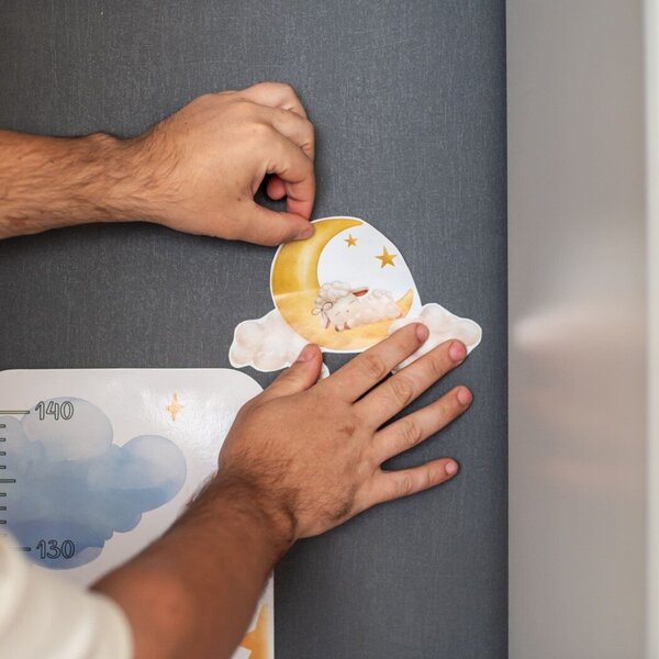 Height Meter And Interior Stickers. For Girls / Зростомір та інтер'єрні наліпки. Для дівчаток / Author not specified 4823277788992-6