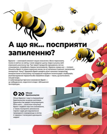Hello, new world! / Привіт, новий світе! Анна Миракла 9786178076016-3