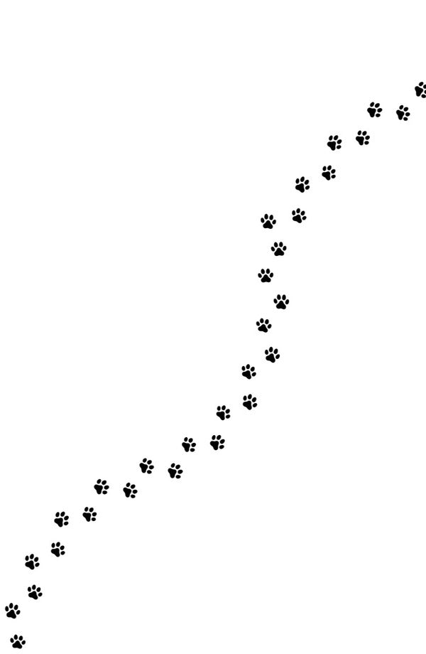 Hemli In The Snow / Гемлі у снігу Sandra J. Paul / Сандра Дж. Пол 9786176146940-3