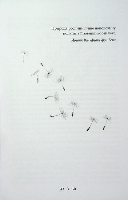 Herbs. A natural source of vitality / Трави. Природне джерело життєвої сили Урсула Штумпф 978-611-01-3558-0-4