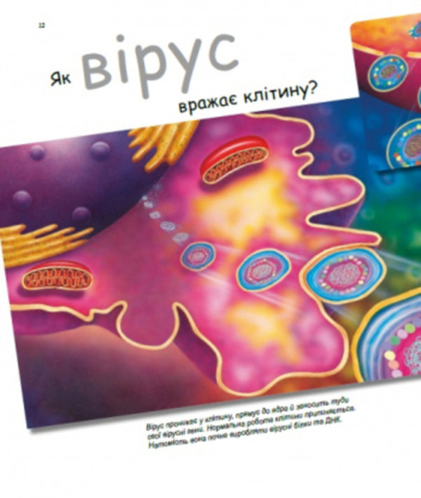 Heroes and villains in our body / Герої та лиходії в нашому тілі Патрик Боэрле, Норберт Ланда 9786170969941-5