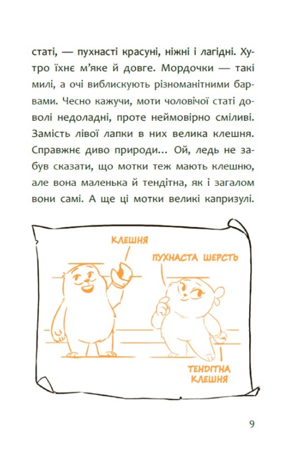 Hi, New Tomorrow! / Привіт, нове завтра! Radostin Nikolava / Радостина Ніколова 9786170995810-6