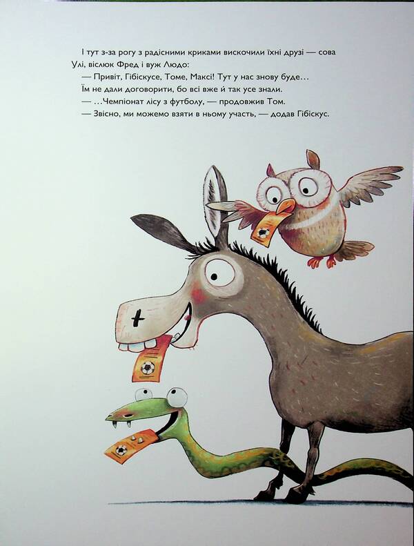 Hibida Hibiscus And Football Football Championship / Заєць Гібіскус і Чемпіонат лісу з футболу Andreas Kenig / Андреас Коніг 9786178287504-4