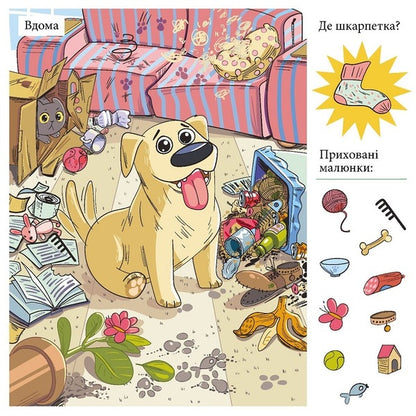 Hidden pictures (blue) / Приховані малюнки (синя)  9789669442987-2