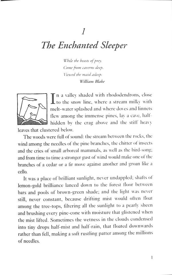 His Dark Materials 3. The Amber Spyglass / His Dark Materials 3. The Amber Spyglass Филип Пулман 978-0-702311-40-6-4