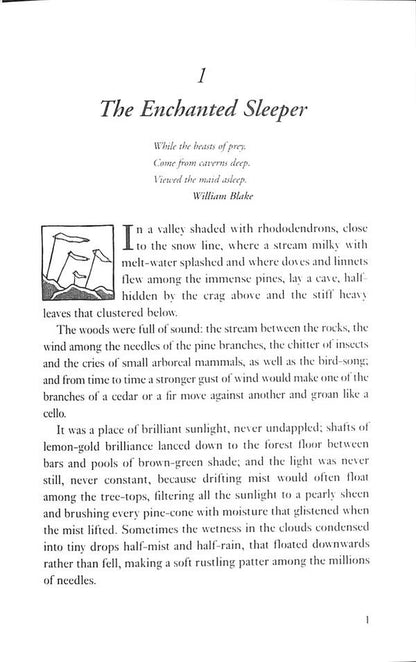 His Dark Materials 3. The Amber Spyglass / His Dark Materials 3. The Amber Spyglass Филип Пулман 978-0-702311-40-6-4
