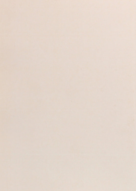 His secret. A story with memories / Його таємниця. Повість із спогадами Василий Чапленко 978-611-01-1904-7-2