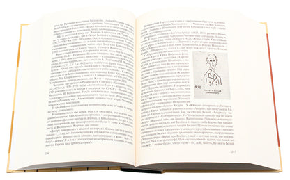 His secret, or the Beautiful bed of the Wave / Його таємниця, або Прекрасна ложа Хвильового Леонид Плющ 978-617-7286-39-3-5