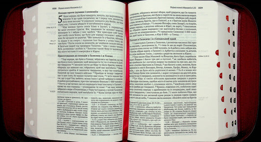 Holy Scripture Jerusalem Bible, Castle, Indexes - Святе Письмо русалимська Ббля, замок, ндекси - Author not specified 9789669388124-2