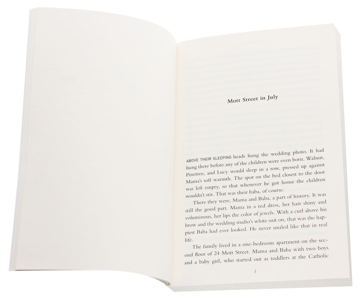 Home Remedies / Home Remedies Сюань Юлиана Ванг 978-1-78649-743-7-4