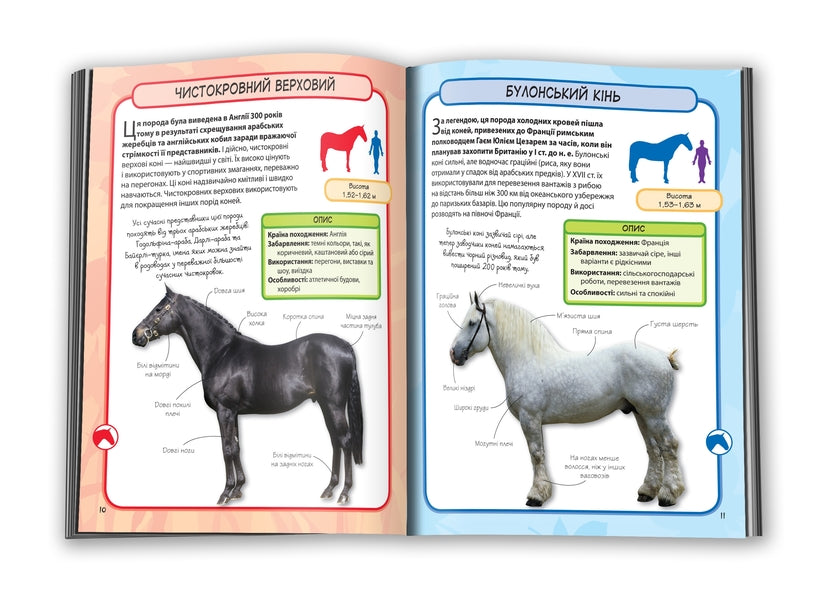 Horses and ponies.50 most famous varieties: Mini-encyclopedia / Коні і поні. 50 найвідоміших різновидів: Міні-енциклопедія  978-966-948-293-8-5