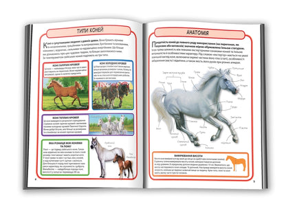 Horses and ponies.50 most famous varieties: Mini-encyclopedia / Коні і поні. 50 найвідоміших різновидів: Міні-енциклопедія  978-966-948-293-8-6