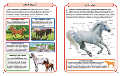 Horses and ponies. Mini-encyclopedia / Коні і поні. Міні-енциклопедія  978-617-538-360-5-6