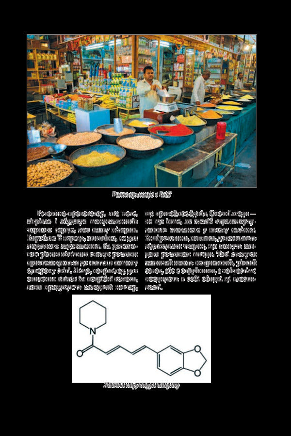 Hot Story. Incredible adventures of spices in the world of people / Hot Story. Неймовірні пригоди прянощів у світі людей Алексей Мустафин 978-966-03-8391-3-6