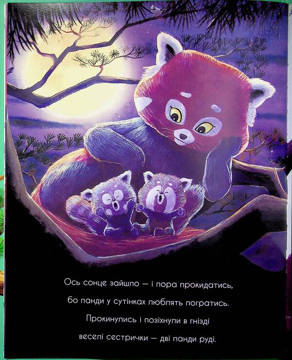 How Baby Pandas Learned To Promise - Як панди-малята навчились обцяти Rachel Bright - Рейчел Брайт 9786170996329-6