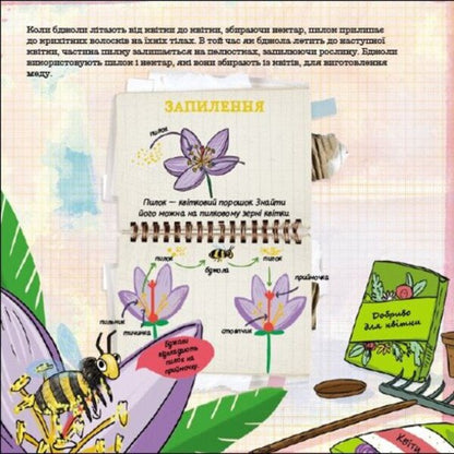 How Do Ants Escape From Flood? / Як мурахи рятуються від повені? Chayon McCay / ХОРУСЬКИЙ МАККІ 9786170998422-4