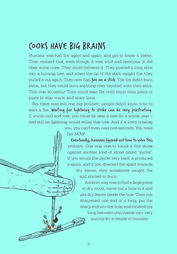 How Humans Take Over the World / How Humans Took Over the World Юваль Ной Харари 978-0-241-59608-1-3