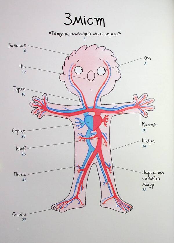How My Body Is Arranged: A Book For Children (And Adults!). 4+ / Як улаштоване моє тіло: книжка для дітей (і дорослих!). 4+ Michelle Sims / Мішель Сімс 9786170042927-3
