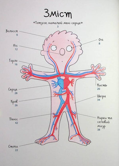 How My Body Is Arranged: A Book For Children (And Adults!). 4+ / Як улаштоване моє тіло: книжка для дітей (і дорослих!). 4+ Michelle Sims / Мішель Сімс 9786170042927-3