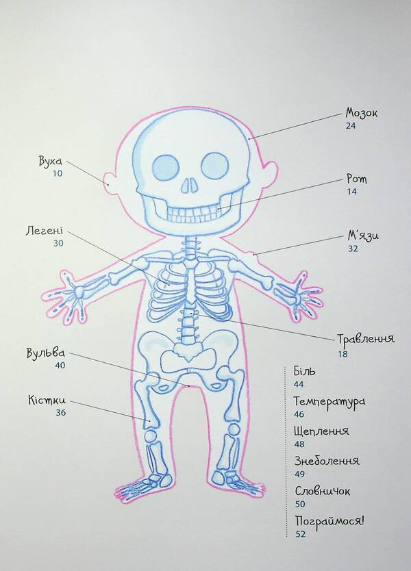 How My Body Is Arranged: A Book For Children (And Adults!). 4+ / Як улаштоване моє тіло: книжка для дітей (і дорослих!). 4+ Michelle Sims / Мішель Сімс 9786170042927-4