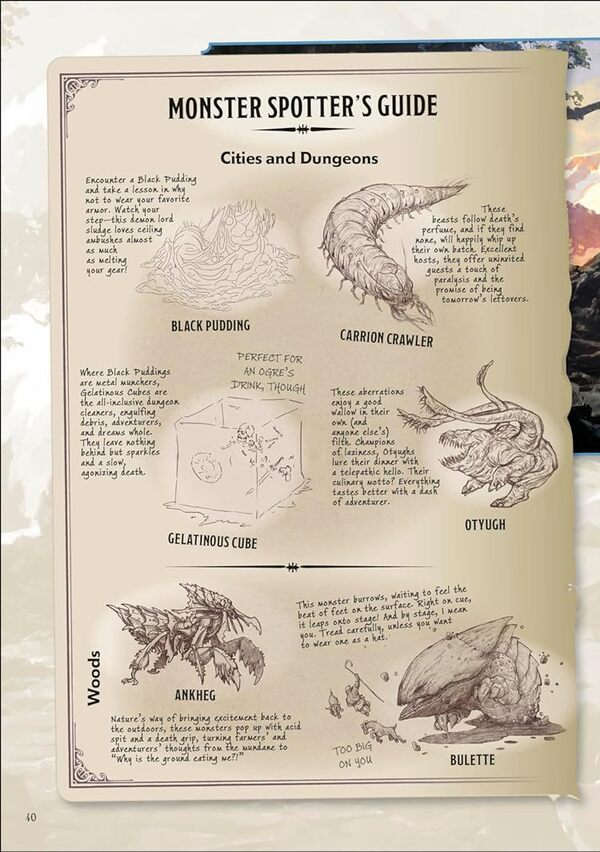 How Not To Get Eaten By Owlbears Anne Tul / Энн Тул 9780241675014-5