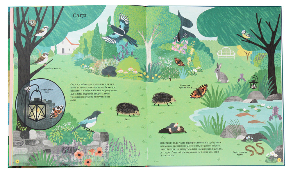 How To Help The Hedgehog And Protect The Polar Bear - Як допомогти жачков та захистити полярного ведмедя Jess French - Джесс Френч 9789669788092-5