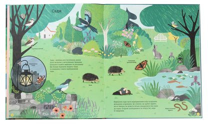 How To Help The Hedgehog And Protect The Polar Bear - Як допомогти жачков та захистити полярного ведмедя Jess French - Джесс Френч 9789669788092-5