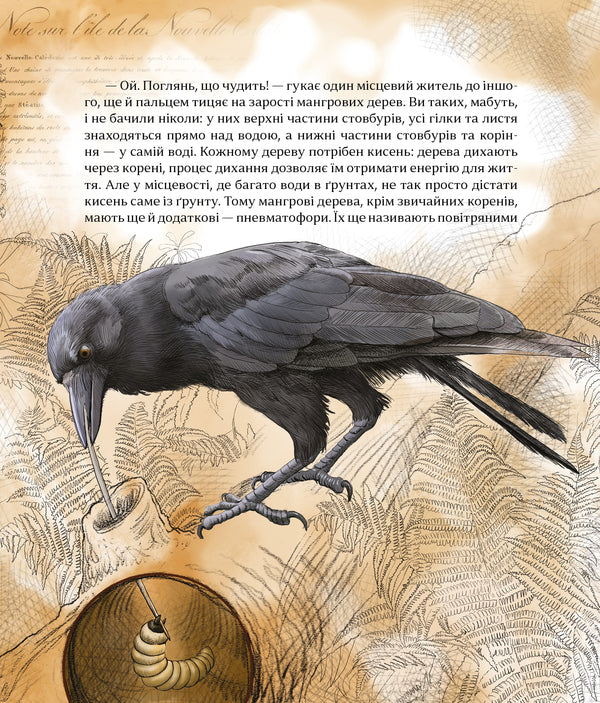 How To Understand Animals. Research And Discovery / Як зрозуміти тварин. Дослідження та відкриття Olga Zaets / Ольга Заєць 9786178452155-5