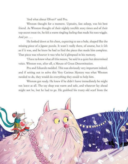 How Winston Came Home for Christmas / How Winston Came Home for Christmas Алекс Т. Смит 9781529041576-5