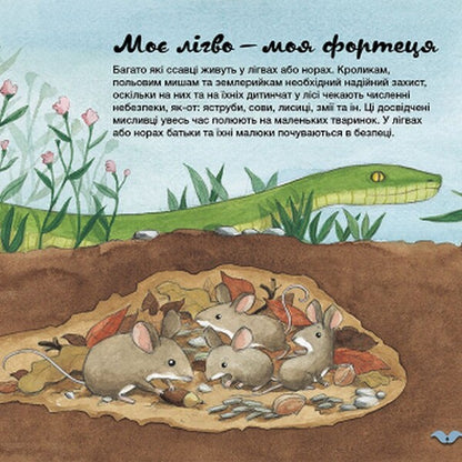 How do animals arrange their homes? / Як тварини облаштовують свої домівки? Алехандро Альгарра 978-617-09-6405-2-6