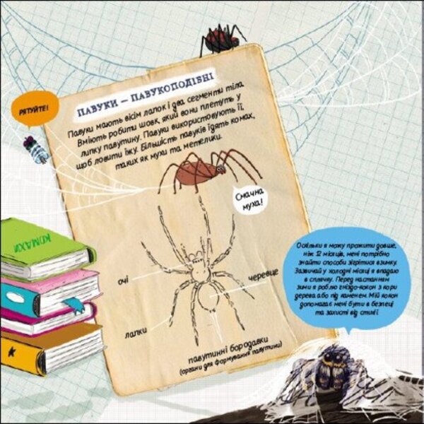 How do ants escape from flood? / Як мурахи рятуються від повені? Чейсон Маккей 978-617-09-9842-2-6