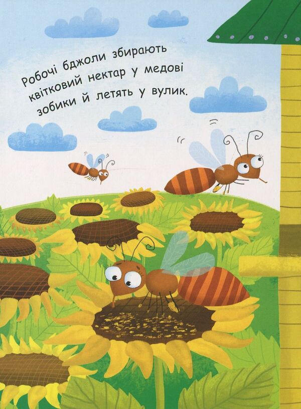 How is honey made? / Як утворюється мед?  9789667488314-3