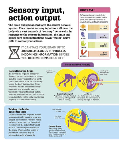 How the Body Works. The Facts Simply Explained / How the Body Works. The Facts Simply Explained  9780241188019-2