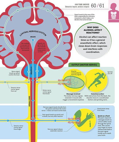 How the Body Works. The Facts Simply Explained / How the Body Works. The Facts Simply Explained  9780241188019-3