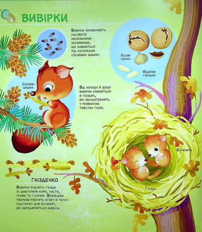 How tiny creatures live / Як живуть крихітні створіння Элеонора Барзотти 978-966-982-393-9-3