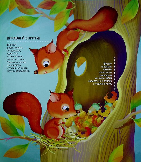 How tiny creatures live / Як живуть крихітні створіння Элеонора Барзотти 978-966-982-393-9-4