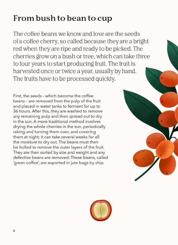 How to Drink Coffee / How to Drink Coffee Сара Форд 9781837760220-2