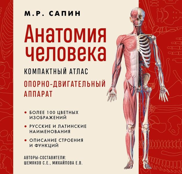 Human Anatomy Compact Atlas Musculoskeletal System - Анатомия человека Компактный атлас Опорно-двигательный аппарат M R Sapin - М Р Сапин Does not apply-1